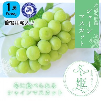 【11月-1月発送】氷温貯蔵マスカット冬姫(1房)【配送不可地域：離島】