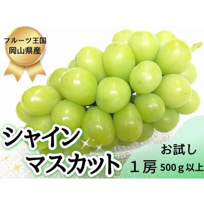【2026年先行受付】お試しフルーツ王国岡山シャインマスカット500g以上!　朝採れぶどう1房【配送不可地域：離島】