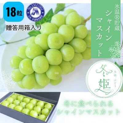 【11月-3月発送】氷温貯蔵マスカット冬姫(18粒)【配送不可地域：離島】