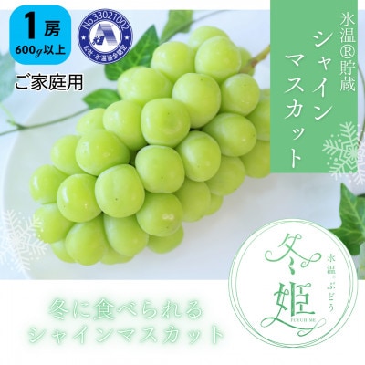 【11月-1月発送】氷温貯蔵マスカット冬姫(1房)【家庭用】【配送不可地域：離島】