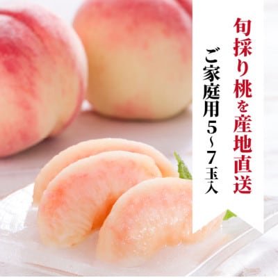 【2026年先行予約】珍しい品種の桃 もも好きのあなたに 旬採り桃 ご家庭用/5-7玉(岡山県産)【配送不可地域：離島】