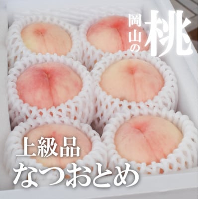 【2026年先行予約】乙女のような可愛い甘い桃「なつおとめ」上級品 5-7玉入(岡山県産)【配送不可地域：離島】