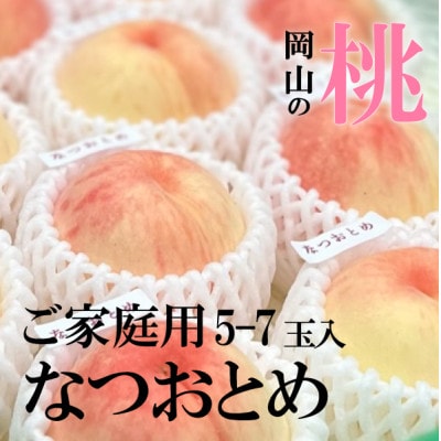 【2026年先行予約】乙女のような可愛い甘い桃  「なつおとめ」家庭用 5-7玉入(岡山県産)【配送不可地域：離島】