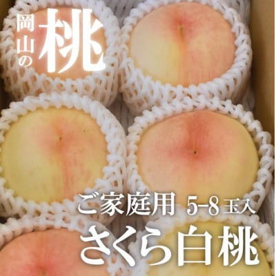 【2026年先行予約】しっかりめの肉質と甘さが絶品「さくら白桃」ご家庭用 5-8玉入(岡山県産)【配送不可地域：離島】