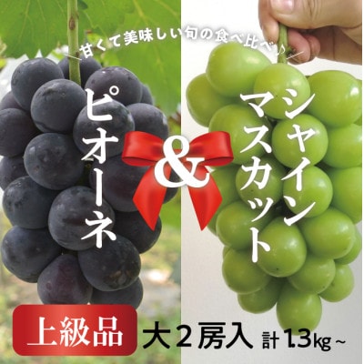 【2026年先行予約】ピオーネ＆シャインマスカット 上級品 大2房 /計1.3kg～(岡山県産)【配送不可地域：離島】