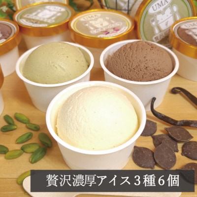 アイス職人の作るこだわりアイスクリーム3種6個セット 各90ml入り ピスタチオ チョコ バニラ【配送不可地域：離島】