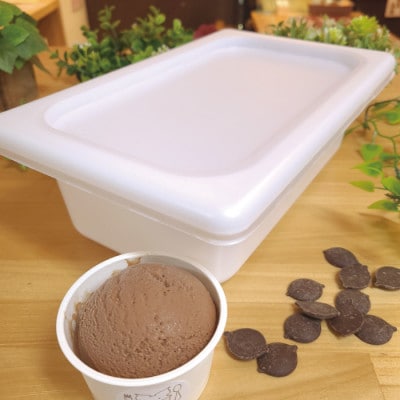 アイス職人の作るこだわり チョコ アイスクリーム 業務用 2リットル入り【配送不可地域：離島】