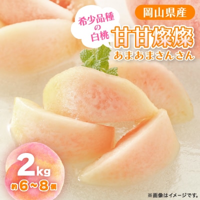【2025年先行予約】2025年9月上旬頃より発送予定・希少品種の岡山の白桃・甘甘燦燦(2kg箱)【配送不可地域：離島】