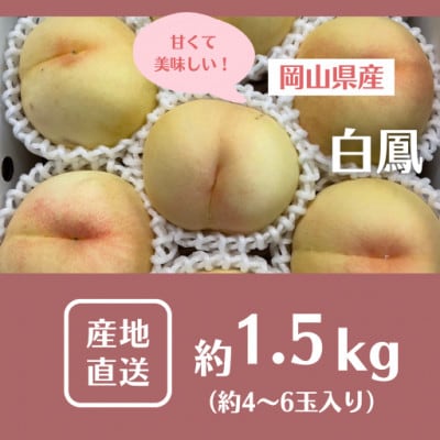 【2026年先行予約】2026年7月中旬頃より発送予定・岡山の白桃・白鳳(1.5kg箱)【配送不可地域：離島】