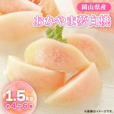 【先行予約】2026年8月上旬頃より発送予定・岡山の白桃・おかやま夢白桃(1.5kg箱)【配送不可地域：離島】