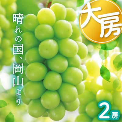 岡山県産シャインマスカット大房【2026年9月末以降順次発送】【配送不可地域：離島】
