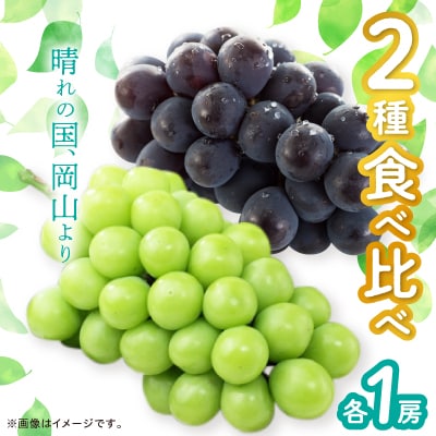 シャインマスカット＆ニューピオーネ【2026年9月中旬以降順次発送】【配送不可地域：離島】