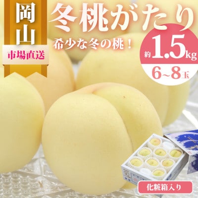 【先行受付】冬桃がたり 6～8玉(約1.5kg) 化粧箱入り【配送不可地域：離島・北海道・沖縄県】