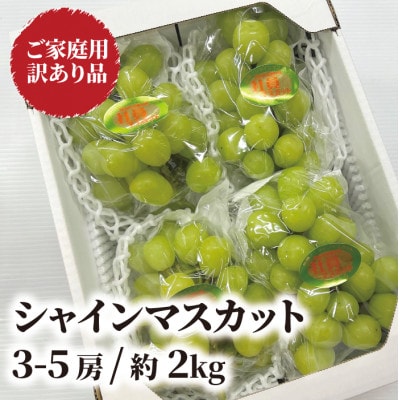 【2026年先行予約】訳あり品 シャインマスカット/約2kg(岡山県産)【配送不可地域：離島】
