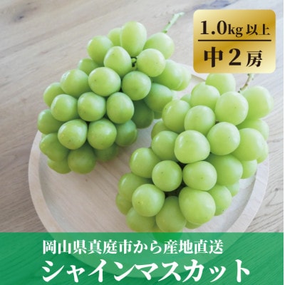 【2026年先行予約】食べ切サイズ シャインマスカット 中2房/計1.0kg～(岡山県産)【配送不可地域：離島】