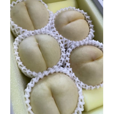 【2025年9月上旬より順次発送予定】しっかりした果肉と果汁たっぷりの岡山の白桃・恵白(1.5kg)【配送不可地域：離島】