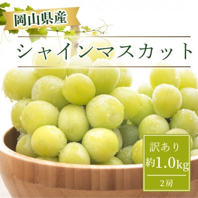 【2025年9月より発送】訳あり家庭用　岡山県産 シャインマスカット  1.0kg以上(2房)【配送不可地域：離島】