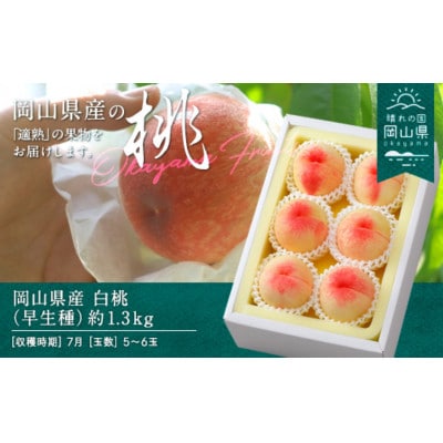 【2026年発送】岡山県産　白桃(早生種)約1.3kg(5～6玉)【配送不可地域：離島】
