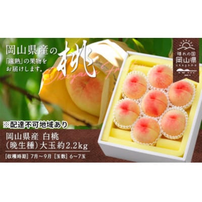 【2026年発送】岡山県産　白桃(晩生種)約2.2kg(大玉6～7玉)【配送不可地域：離島】