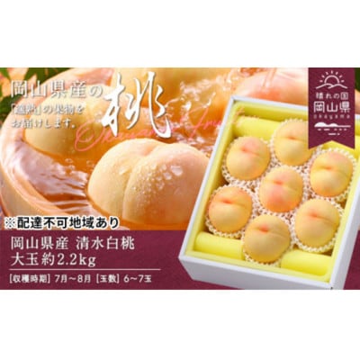 【2026年発送】岡山県産　清水白桃　約2.2kg(大玉6～7玉)【配送不可地域：離島】