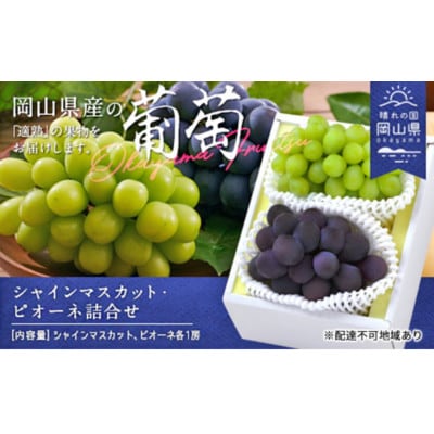 【2026年発送】シャインマスカット・ピオーネ詰合せ　(各1房・合計約1.0kg)【配送不可地域：離島】