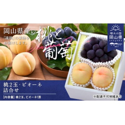【2026年発送】桃・ピオーネ詰合せ(白桃晩生種2玉・ニューピオーネ1房)　合計約1.0kg【配送不可地域：離島】