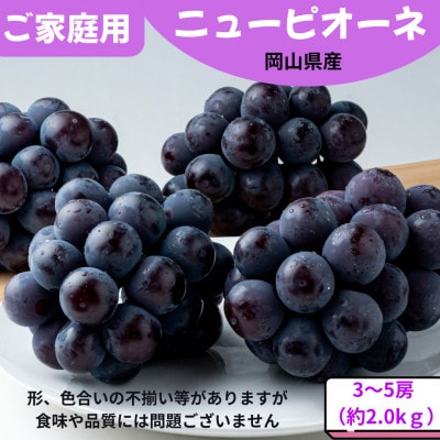 【先行受付】ご家庭用 ニューピオーネ 約2.0kg(3～5房)【配送不可地域：離島】