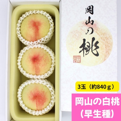 【2026年発送】岡山の白桃(早生種)　大玉3玉(約840g)【配送不可地域：離島】