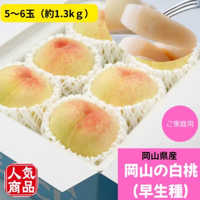 【2026年発送】ご家庭用　岡山の白桃(早生種)　約1.3kg(5～6玉)【配送不可地域：離島】