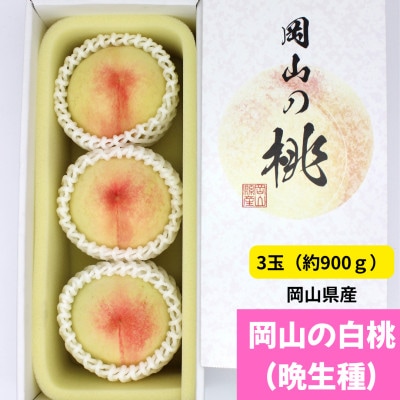 【先行受付】岡山の白桃(晩生種)　大玉3玉(約900g)【配送不可地域：離島】