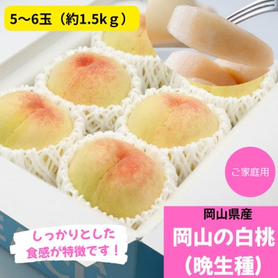 【先行受付】ご家庭用　白桃(晩生種)　 約1.5kg(5～6玉)【配送不可地域：離島】