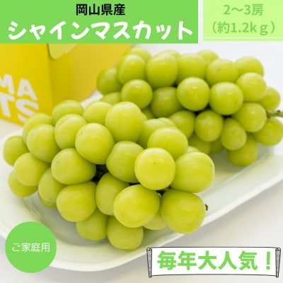 【2026年発送】ご家庭用　岡山県産シャインマスカット(クール便)　約1.2kg(2～3房)【配送不可地域：離島】