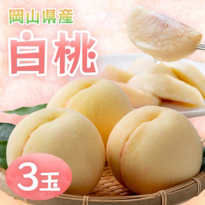 【2026年発送】岡山県産白桃　3玉・約800g(クール便)【配送不可地域：離島】