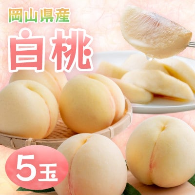 【2026年発送】岡山県産白桃　5玉・約1.3kg(クール便)【配送不可地域：離島】