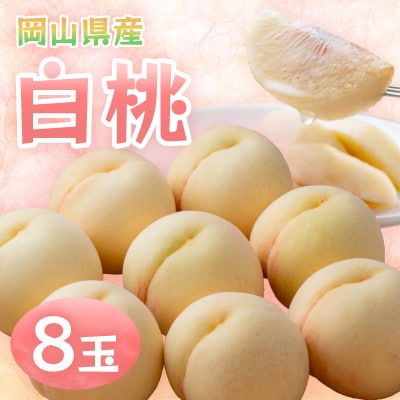 【2026年発送】岡山県産白桃　8玉・約2.0kg(クール便)【配送不可地域：離島】