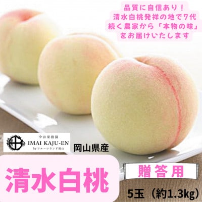 【2026年発送】岡山県産清水白桃　5玉・約1.3kg【配送不可地域：離島】