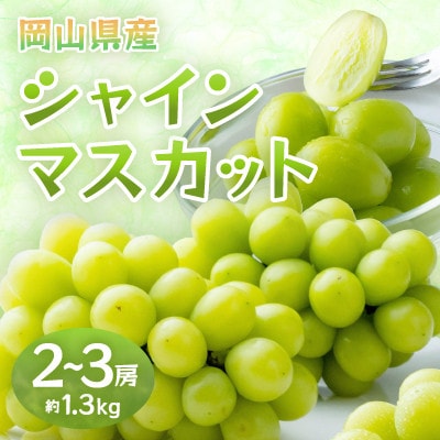【2026年発送】岡山県産シャインマスカット　約1.3kg・2～3房(クール便)【配送不可地域：離島】