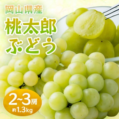 岡山県産桃太郎ぶどう　2～3房・約1.3kg(クール便)【配送不可地域：離島】