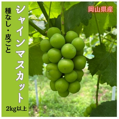 【2026年先行受付】岡山のぶどう(シャインマスカット)2kg(3～5房)【配送不可地域：離島】
