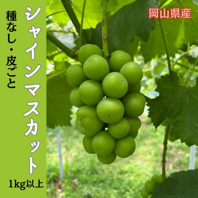 【2026年先行受付】岡山のぶどう(シャインマスカット)1kg以上(2房)【配送不可地域：離島】