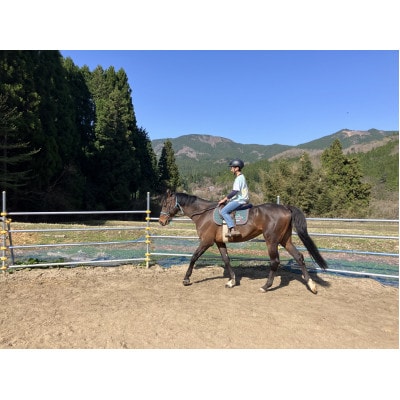 ビジターレッスン利用券 10回分 (1回40分) 岡山県津山市