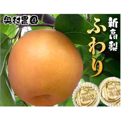 《2025年9月中旬より順次発送》新高梨 ふわり　2玉【配送不可地域：離島】