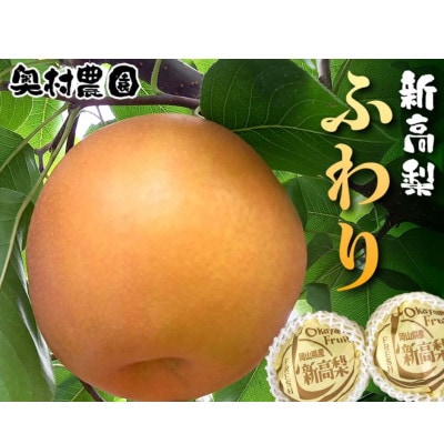 《2025年9月中旬より順次発送》新高梨 ふわり(5玉入り)【配送不可地域：離島】