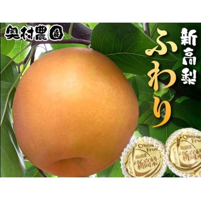 《2025年9月中旬より順次発送》 新高梨 ふわり(6玉入り)【配送不可地域：離島】