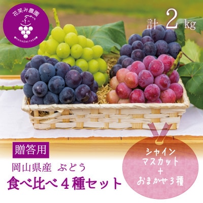 【2026年先行受付】岡山　花笑み農園の『食べ比べ4種』シャイン入り　贈答用　2kg(4房)4M-2【配送不可地域：離島・北海道・沖縄県】