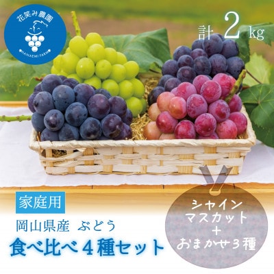 【2026年先行受付】岡山　花笑み農園の『食べ比べ4種』シャイン入り　家庭用　2kg(4房)4M-2【配送不可地域：離島・北海道・沖縄県】
