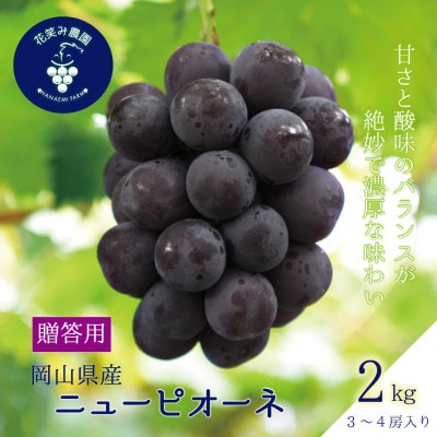 【2026年先行受付】岡山　花笑み農園の『ニューピオーネ』贈答用　約2kg(3～4房)　P-2上【配送不可地域：離島・北海道・沖縄県】