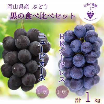 【2026年先行受付】岡山　花笑み農園の『ニューピオーネ＆BKシードレス』1kg(2房)PB-1【配送不可地域：離島・北海道・沖縄県】