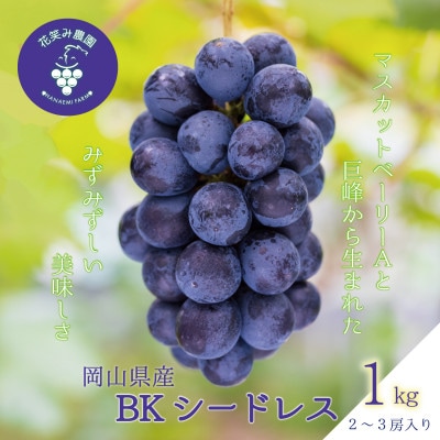 【2026年先行受付】岡山　花笑み農園の『BKシードレス』1kg(2～3房)　B-1【配送不可地域：離島・北海道・沖縄県】