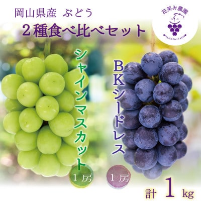 【2026年先行受付】岡山　花笑み農園『シャインマスカット＆BKシードレス』1kg(2房)BS-1【配送不可地域：離島・北海道・沖縄県】